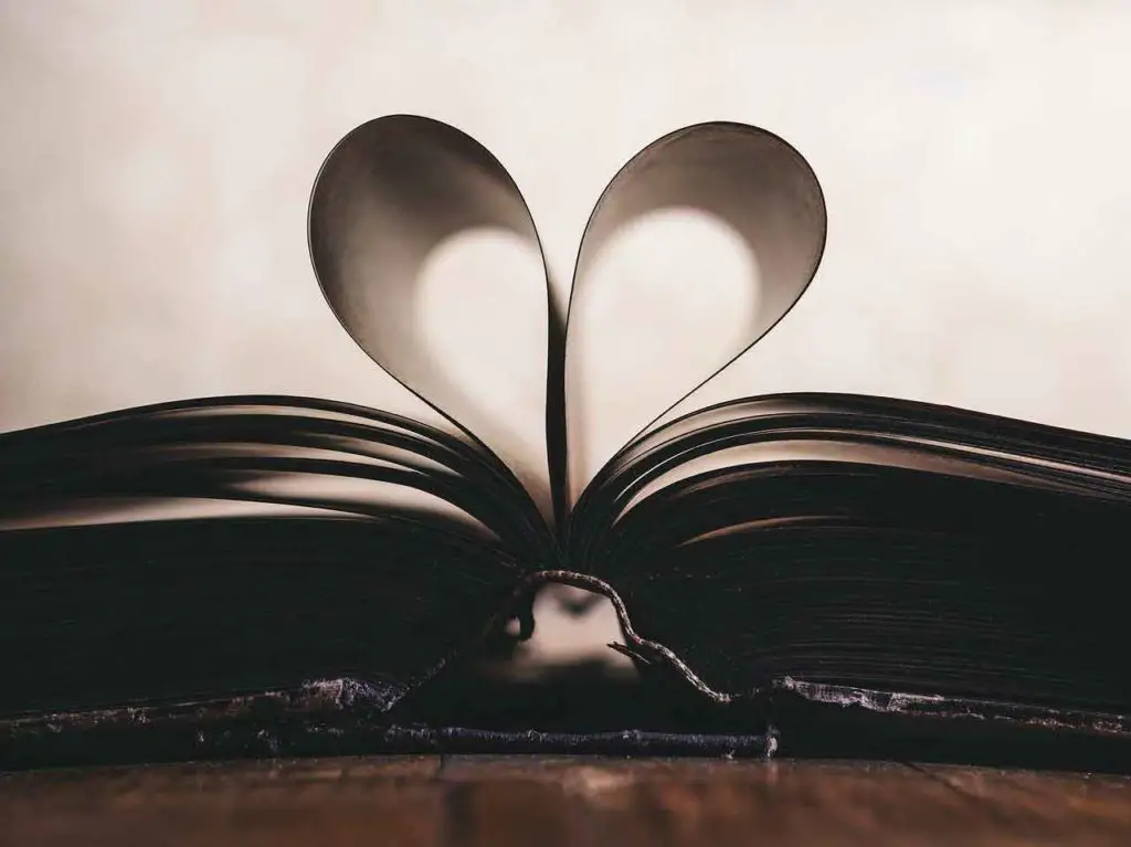 Imagem de folhas em formato de coração, representando os livros de romance em PDF disponibilizados no artigo